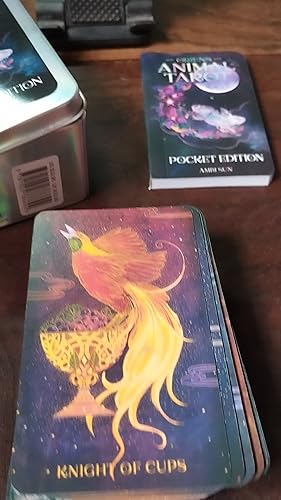 Amazon | Oriens Animal Tarot Pocket Edition (Rockpool Tarot) | Sun